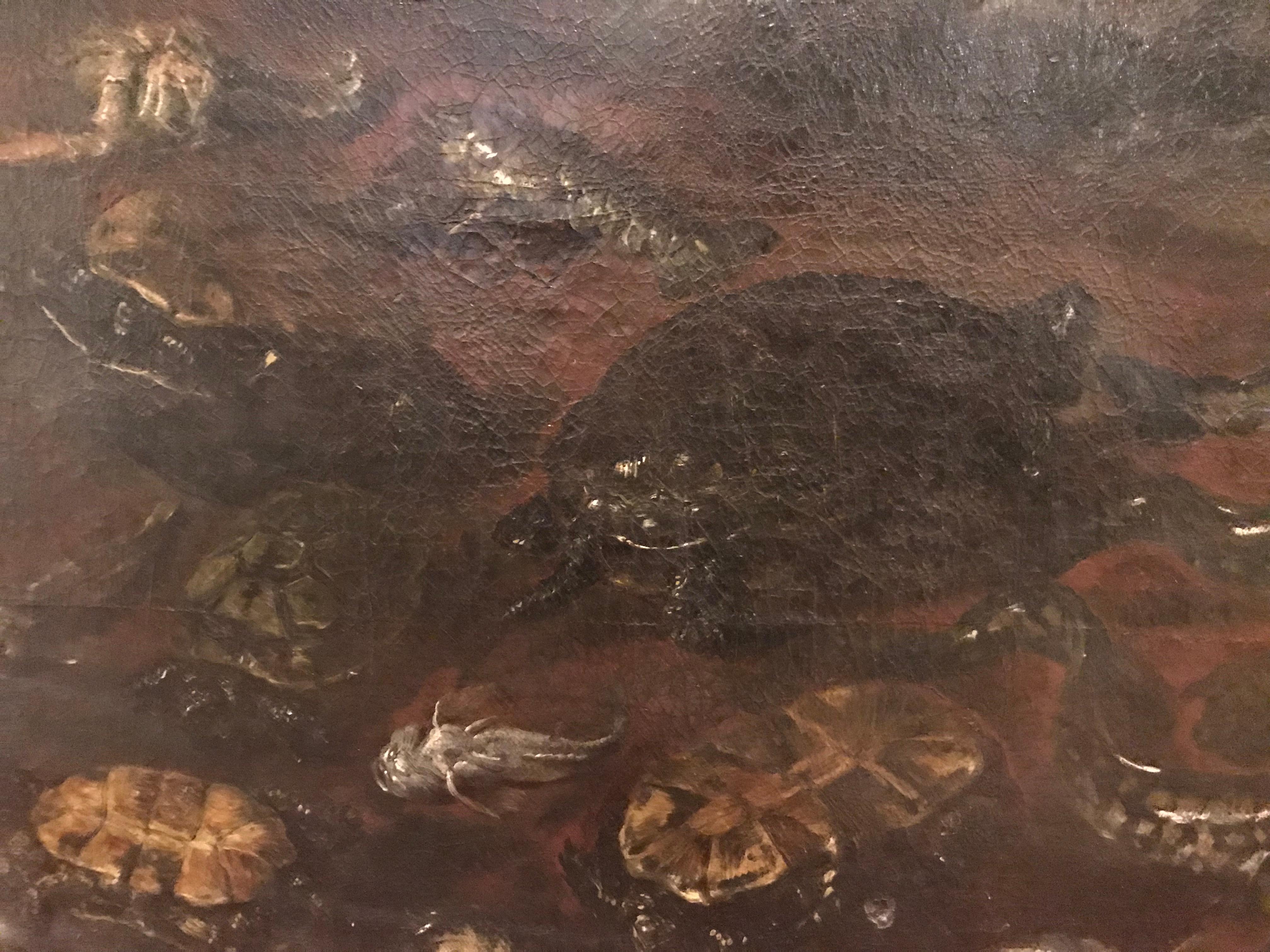 17. Jahrhundert Ölgemälde Stillleben: Schildkröten und Fische mit einem Schiff in stürmischer See (Alte Meister), Painting, von Peeter Boel