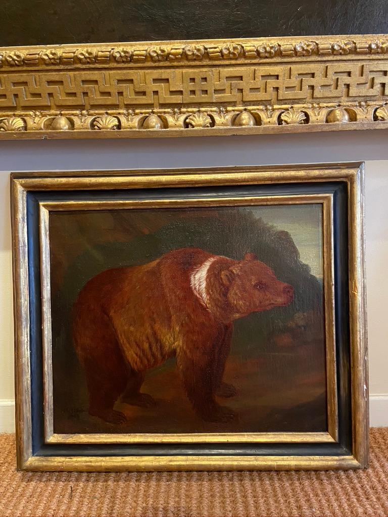 Dipinto di un orso dell'inizio del XVIII secolo - Animal Painting Marrone di Johann Melchior Roos