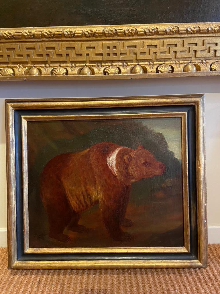 Early 18th Century Painting of a Bear - Brown Animal Painting by Johann Melchior Roos