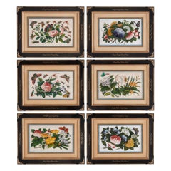 Set von sechs chinesischen Kissenpapiergemälden mit Schmetterlingen und Blumen