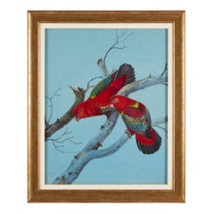 Four Watercolour Studies of Australian Parrots by Philip Rickman