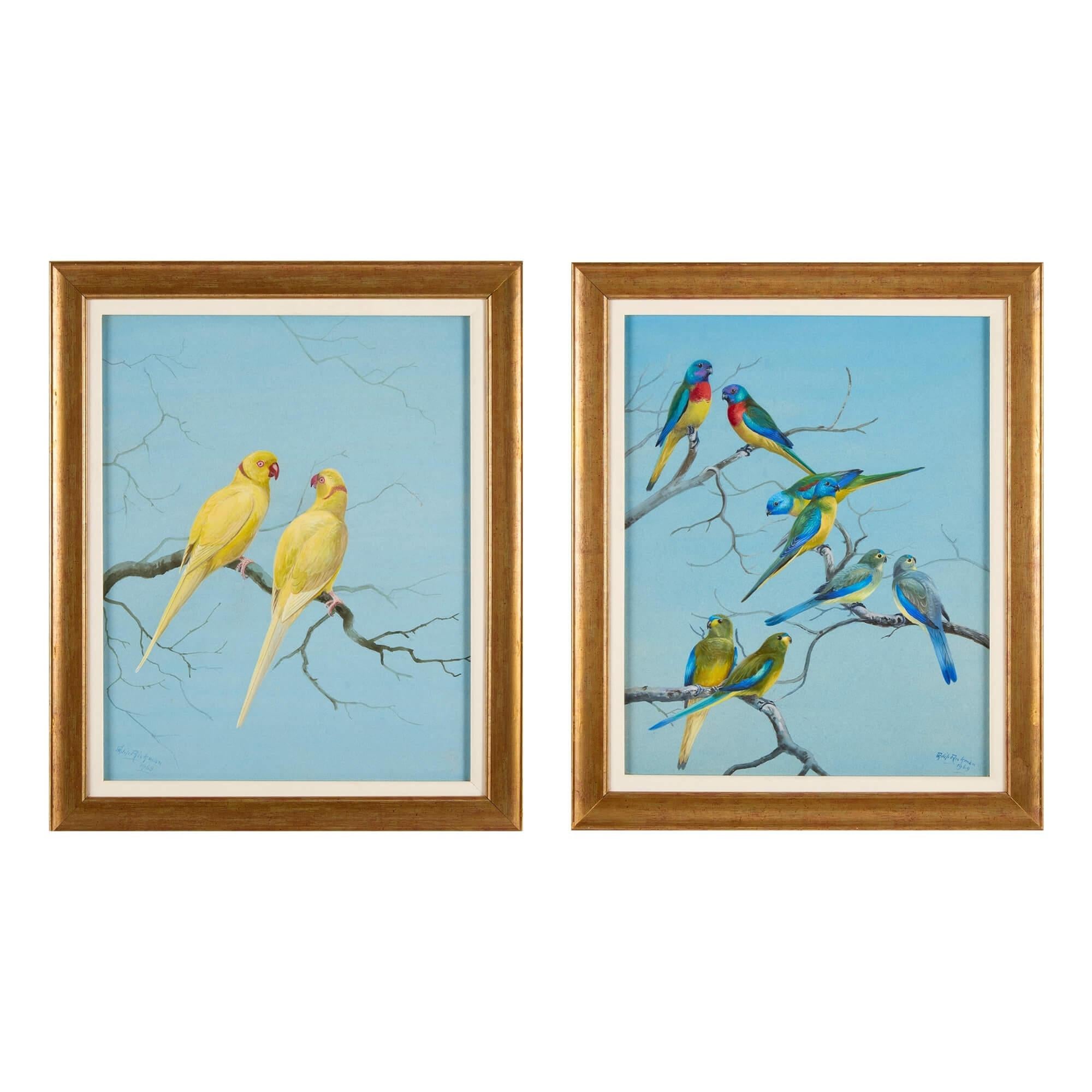 Zwei Aquarellstudien exotischer Papageien von Philip Rickman