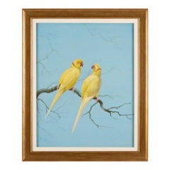 Pair of Watercolour Studies of Exotic Parrots by Philip Rickman