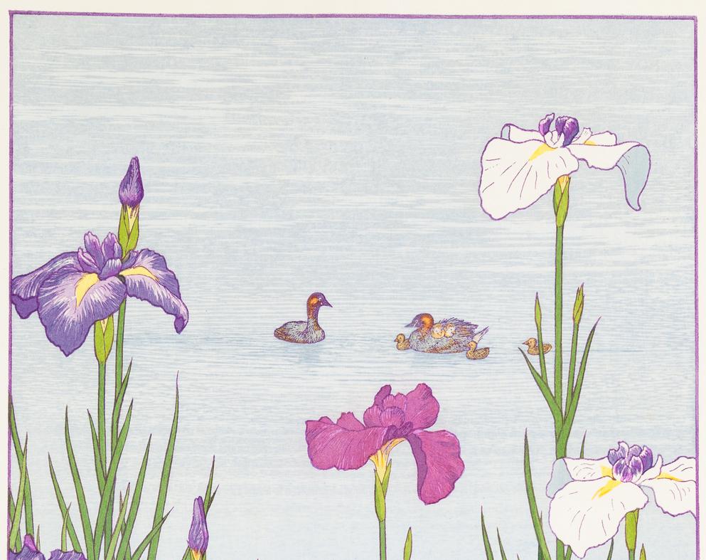 Toshi Yoshida, Original Woodblock Print, Irises, Ducks, Nature, Shing-hanga For Sale 1
