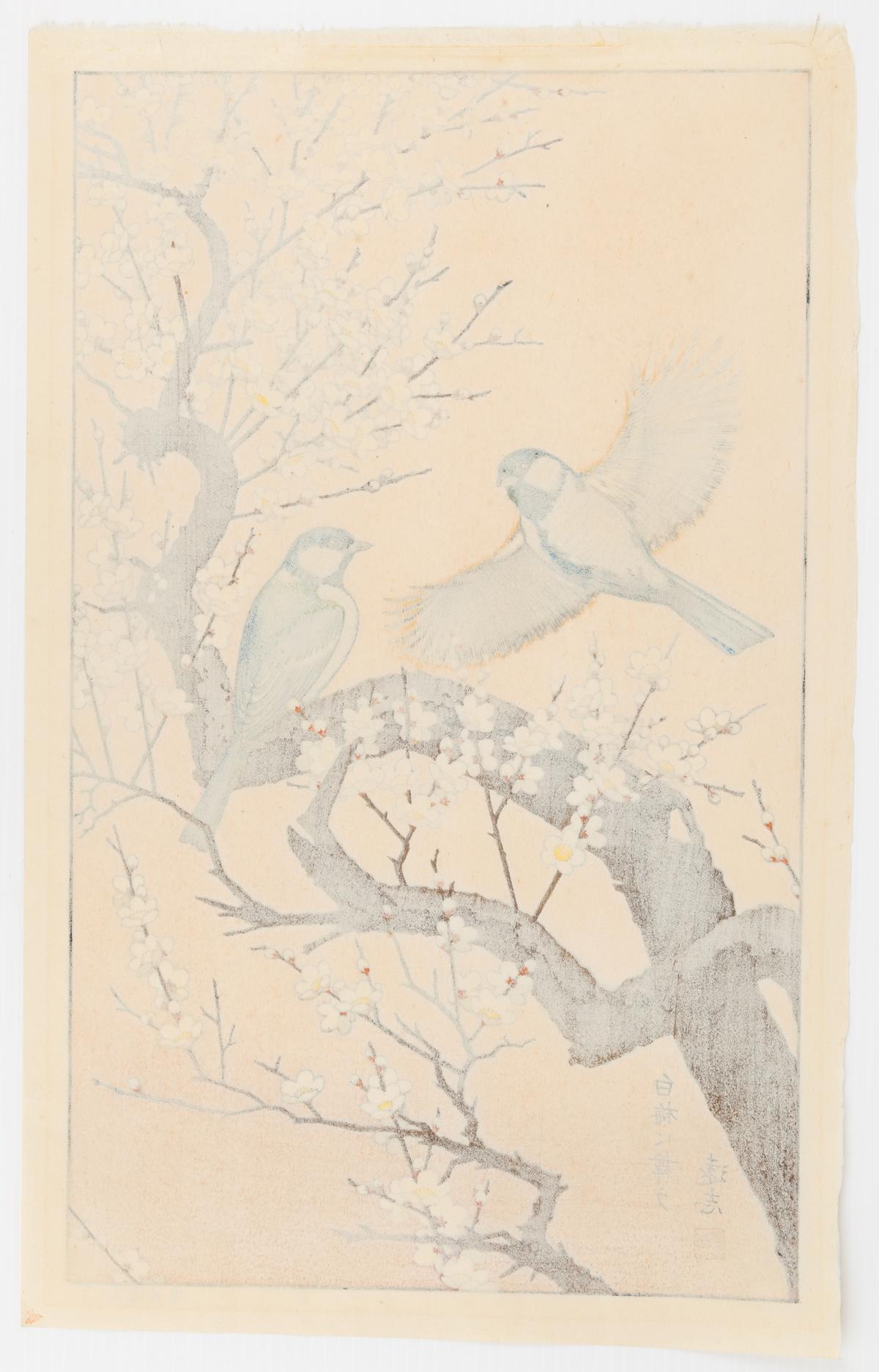 Artist: Toshi Yoshida (1911-1995)
Title: Flying around the Plum Tree - Spring
Series: Birds of the Seasons 
Date: late 20th century
Original pencil signature.
Size: 33.8 x 54 cm
Condition: Light brown mark along the edge of the image due to the