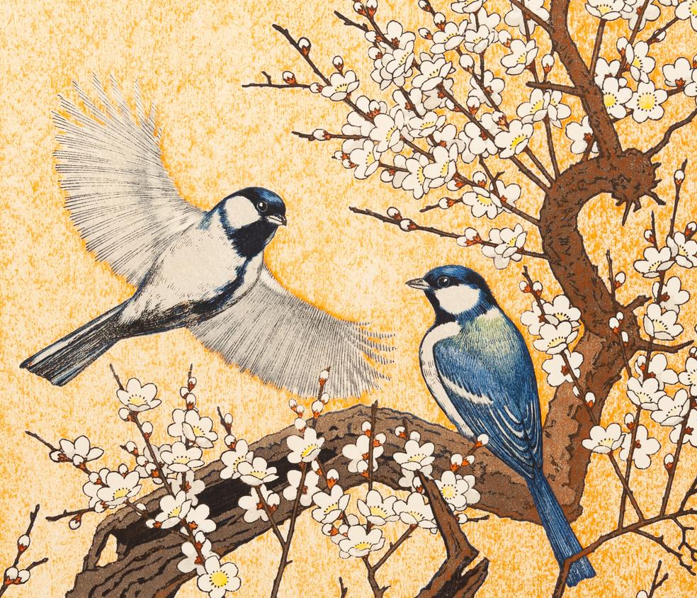 Toshi Yoshida, Plum Tree, Birds, Spring Time, Original Woodblock Print, Nature 1