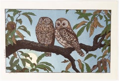 Toshi Yoshida, Gravure sur bois originale, Nature, Deux hiboux, Oiseaux, 20e siècle