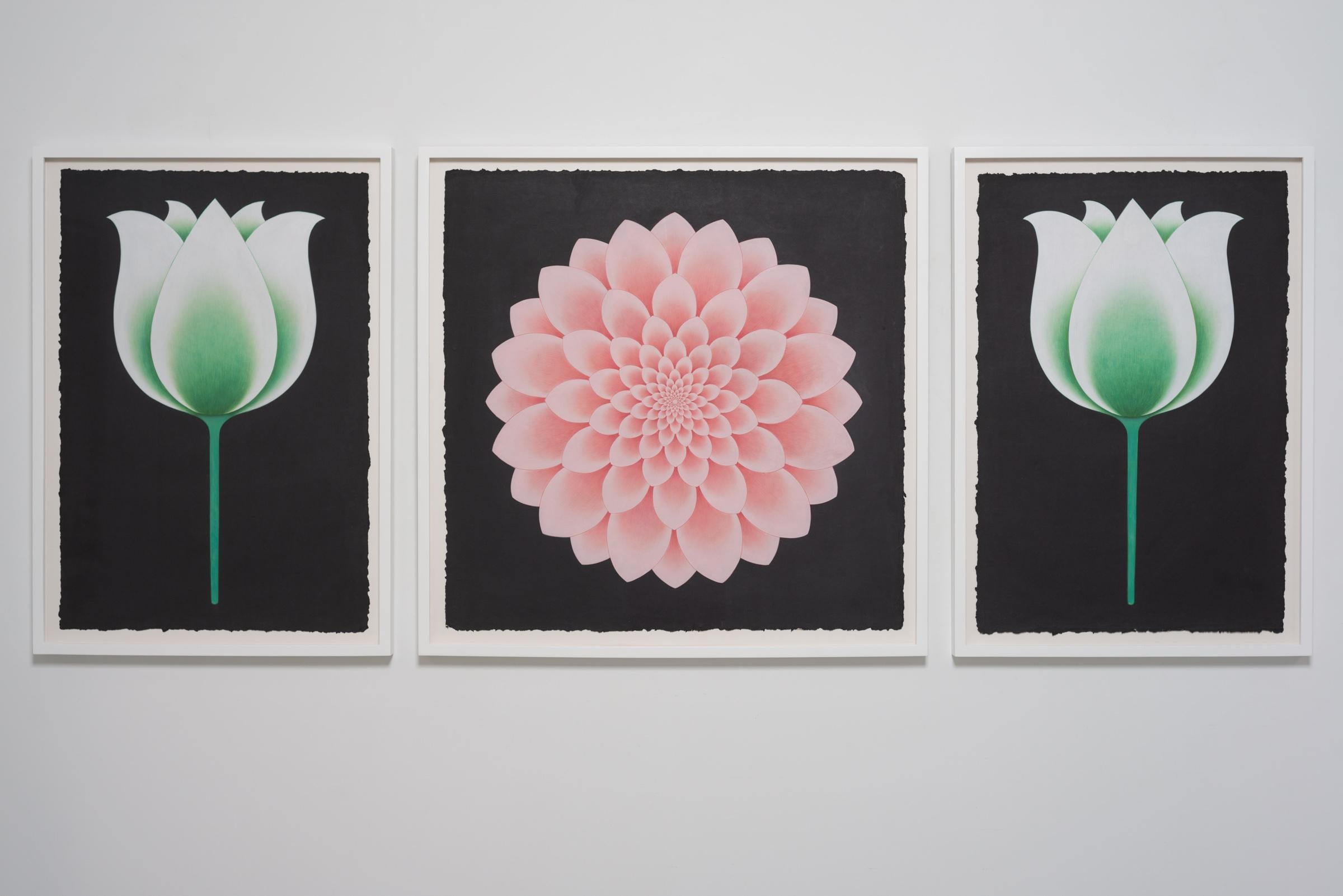 Lotus flower miniature painting on handmade paper, framed  - Contemporary Art by Olivia Fraser