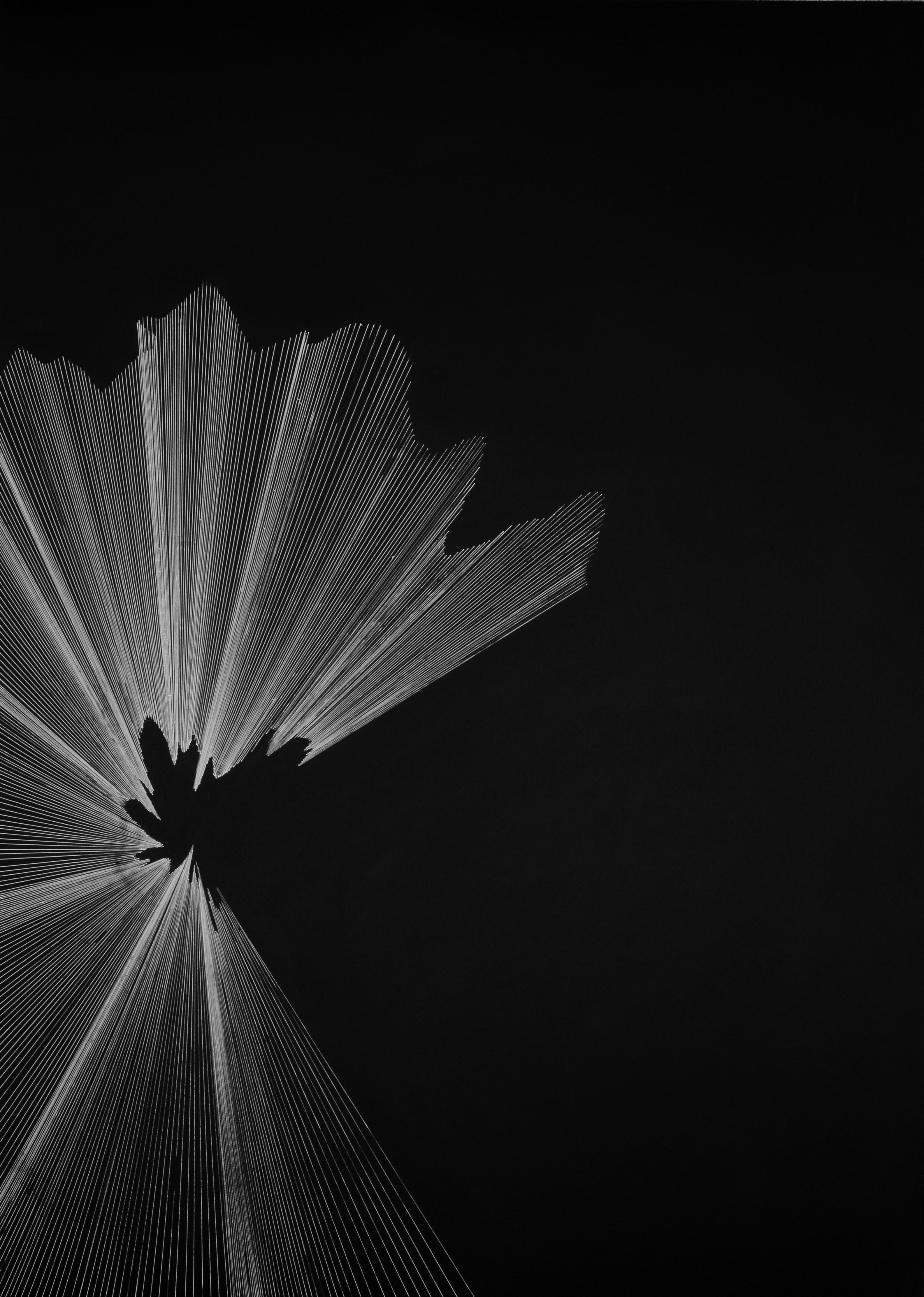 G_17 - Contemporaneo, Disegno, Nero, Bianco, Minimalista, Astratto, Fluidità