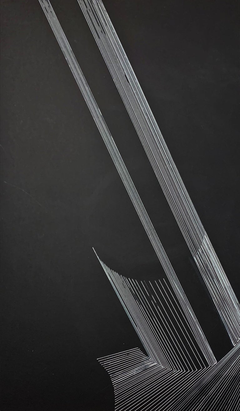 Alina Aldea G 19 21st Century Drawing Contemporary Black