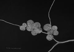 Secret Garden 10 - Flower, Contemporary, Black, White, 21st Century, Nature