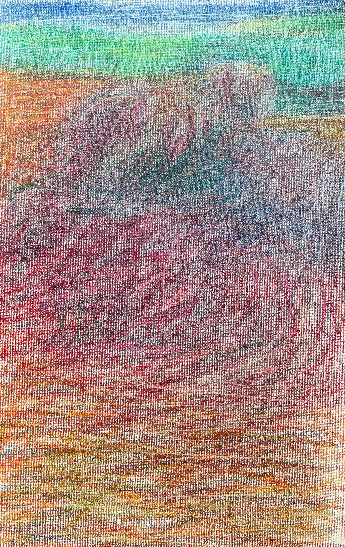 Body in the Field #9 - Landscape, Orange, Red, Coloured pencil