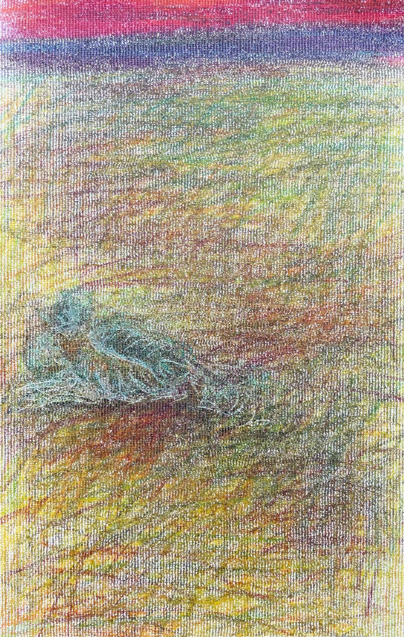 Zsolt Berszán Figurative Art - Body in the Field #11 - Landscape, Coloured Pencil, 21st Century, Red, Blue