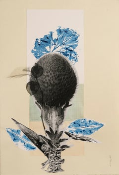 Hoja plana azul - flor, negro, blanco, azul, plantas, vegetal