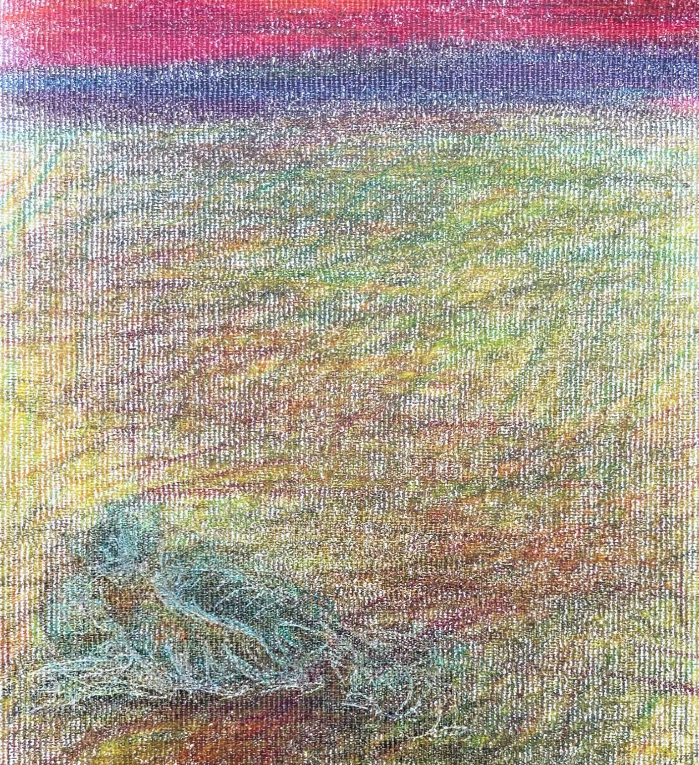 Body in the Field #11 - Landscape, Coloured Pencil, 21st Century, Red, Blue - Art by Zsolt Berszán