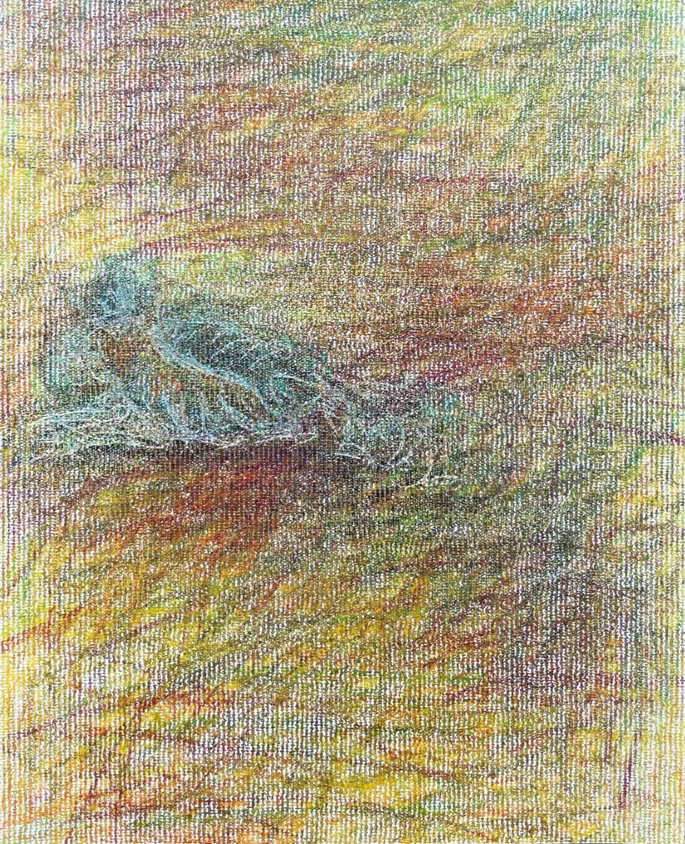 Body in the Field #11 - Landscape, Coloured Pencil, 21st Century, Red, Blue - Expressionnisme abstrait Art par Zsolt Berszán