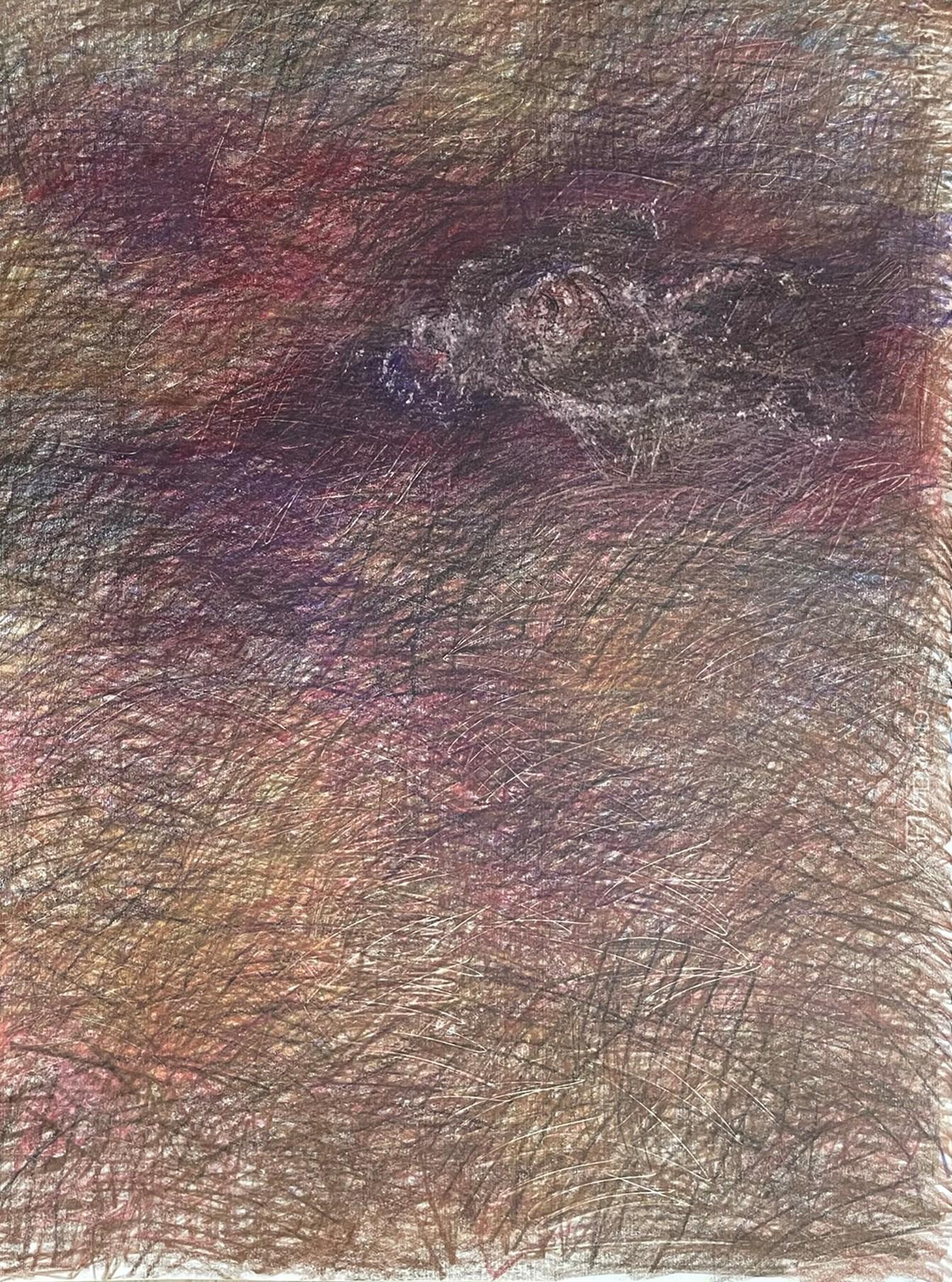 Untitled_Remains Body on the Field #1, 2022
coloured pencils on paper
39 3/8 H x 27 9/16 W inches
100 H x 70 W cm
Signed on reverse

Zsolt Berszán embodies in his works the dissolution of the human body through the prism of the fragment, the body in