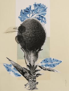 Blue-flat Leaf - fiore, nero, bianco, blu, piante, vegetale