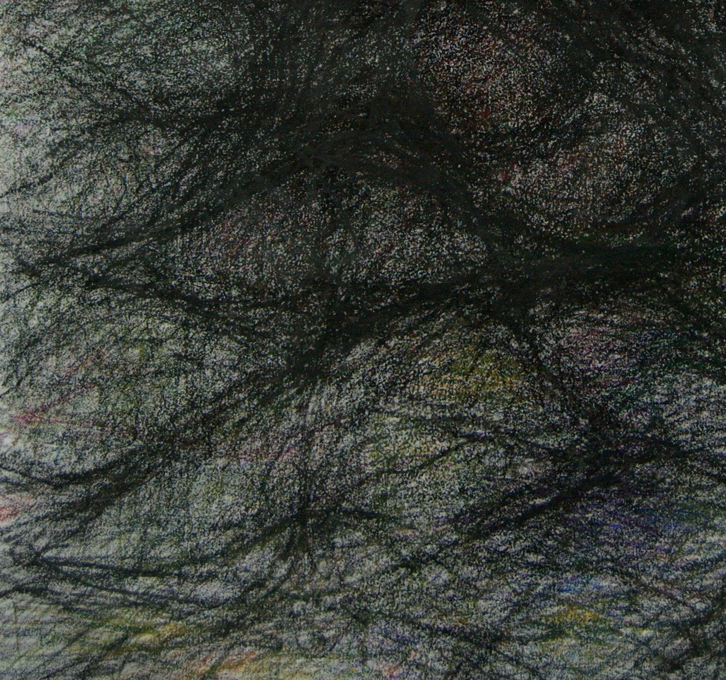 Ohne Titel 01 - Abstrakt, Zeichnung auf Leinwand, Grau, Organisch, 21. Jahrhundert (Abstrakter Expressionismus), Art, von Zsolt Berszán