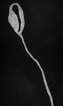 Giardino segreto 2 - Contemporaneo, Disegno, Fiore, Nero, Bianco, 21° secolo