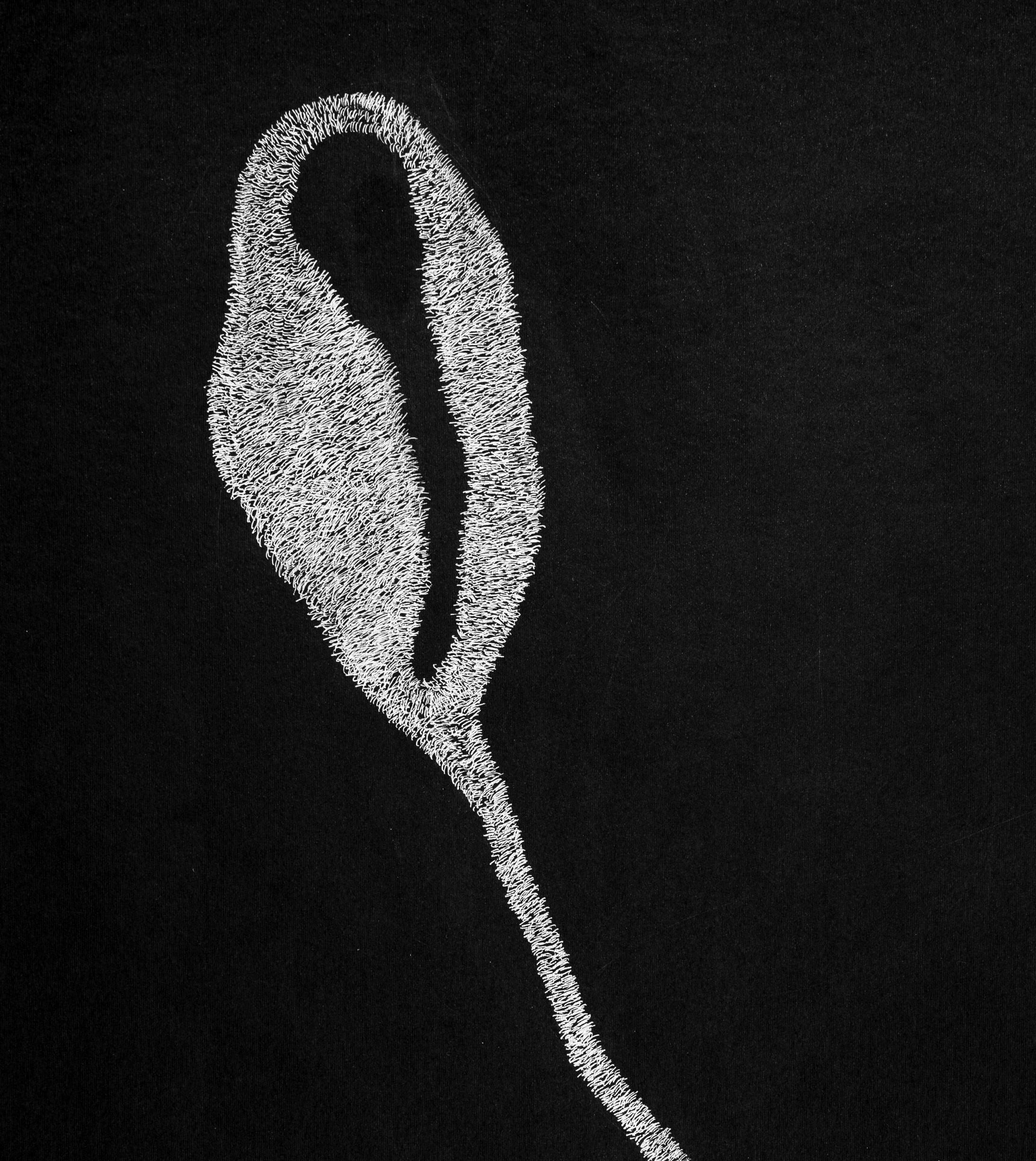 Geheimer Garten 2, 2019
Weiße Tinte auf schwarzem Karton (signiert)
39 3/8 H x 27 9/6 W in.
100 H x 70 B cm

Die von Alina Aldea signierten Zeichnungen zeigen die Akribie und Perfektion der mikroskopischen Beobachtung. Die Kreation von Alina Aldea