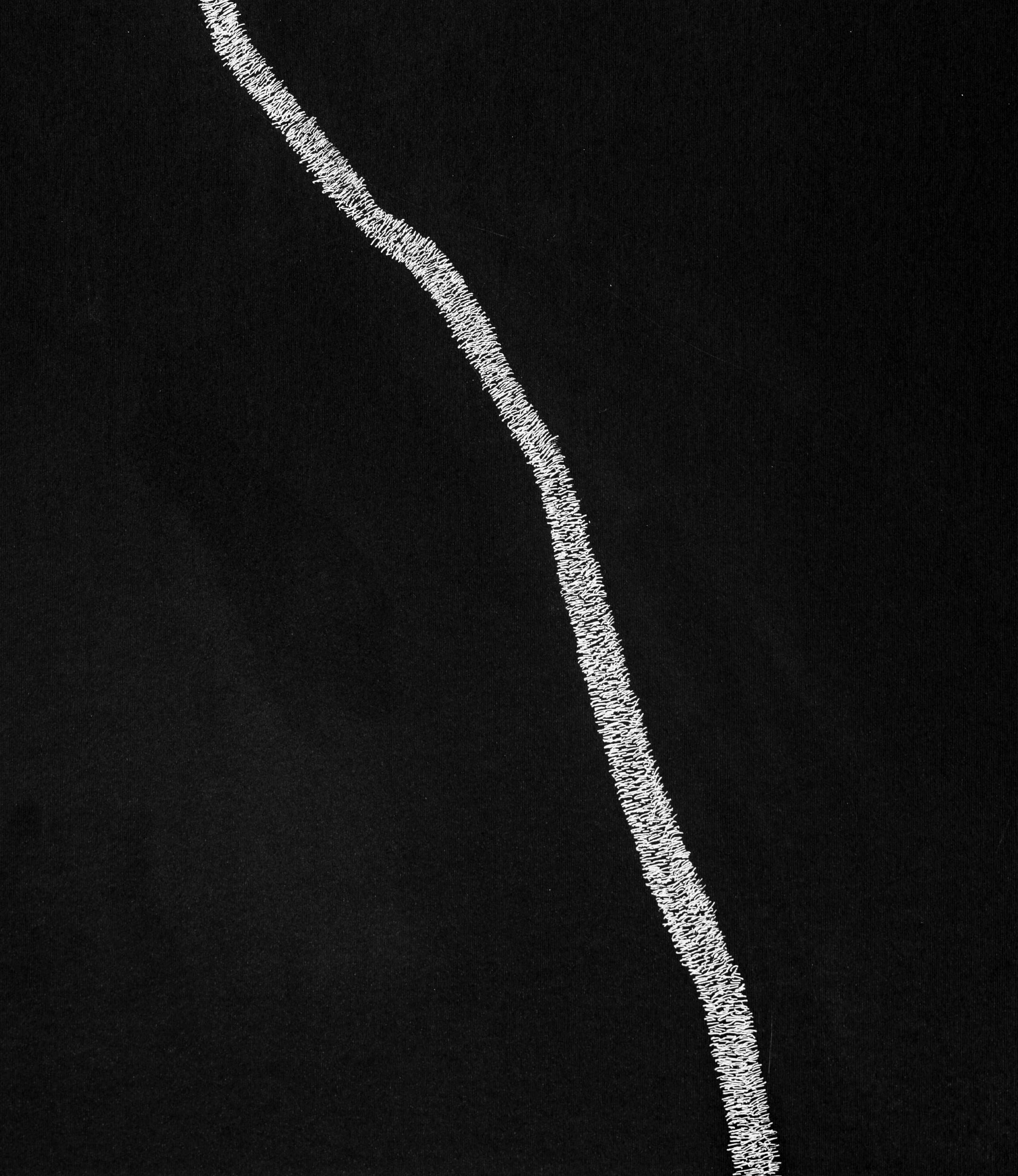 Giardino segreto 2 - Contemporaneo, Disegno, Fiore, Nero, Bianco, 21° secolo in vendita 1