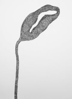 Jardín Secreto 1 - Contemporáneo, Flor, Blanco, Negro, Dibujo, Siglo XXI