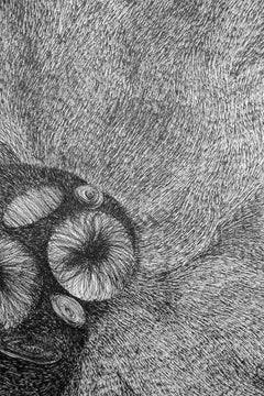 Cell 02 - Contemporain, Noir, Blanc, Dessin, Conceptuel