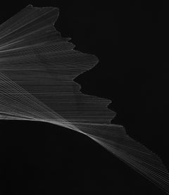 G_16 - Contemporary, Black, White, Minimalist, Drawing, Abstract