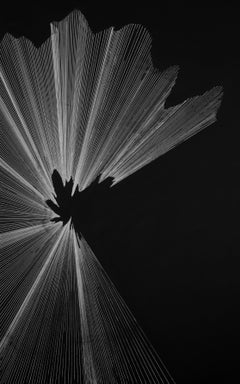 G_17 - Contemporary, Drawing, Black, White, Minimalist, Abstract, Fluidity