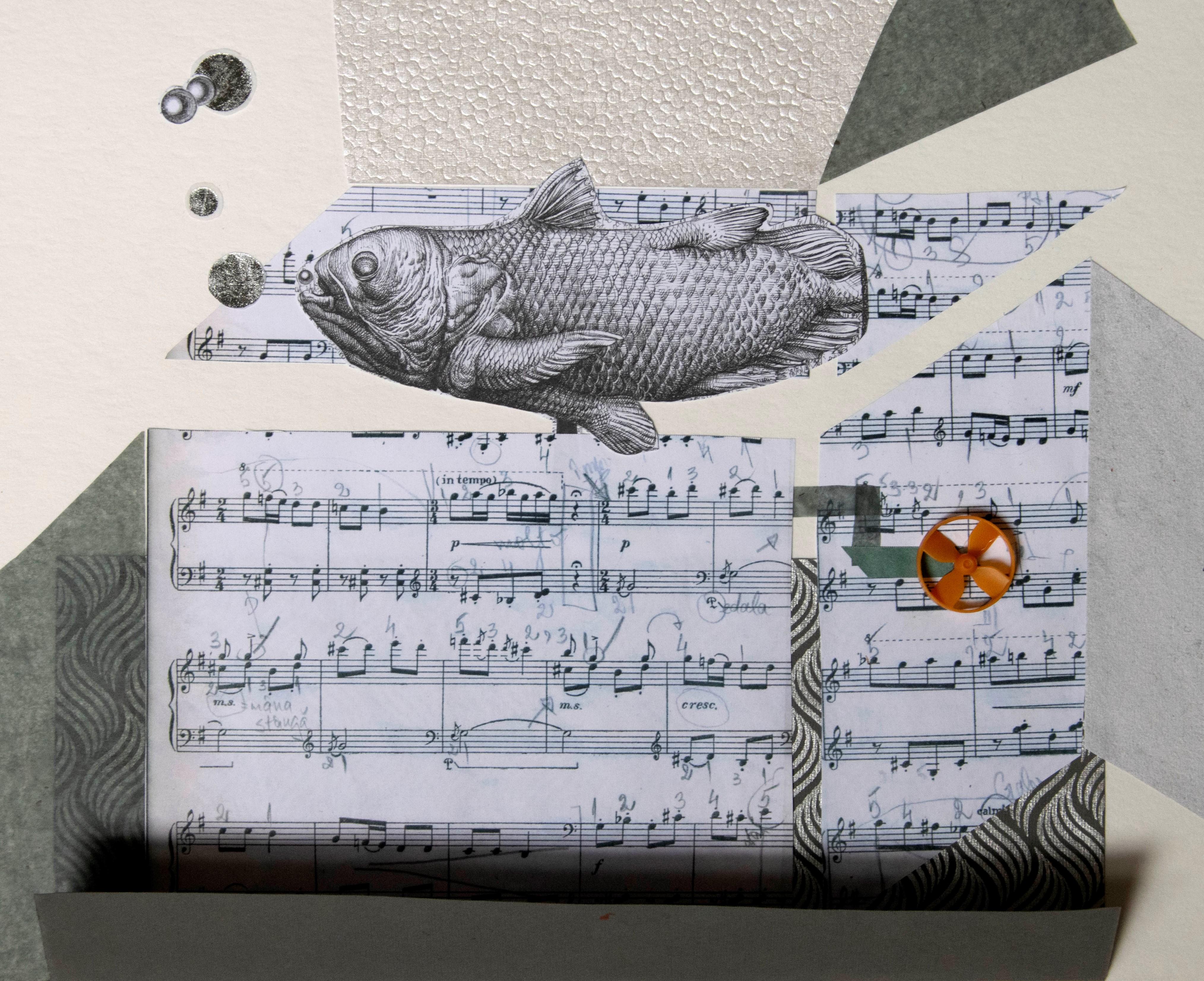 The Music Box - 21. Jahrhundert, Singing Fish, Funny, Zeitgenössische Kunst (Abstrakt), Mixed Media Art, von Raluca Arnăutu