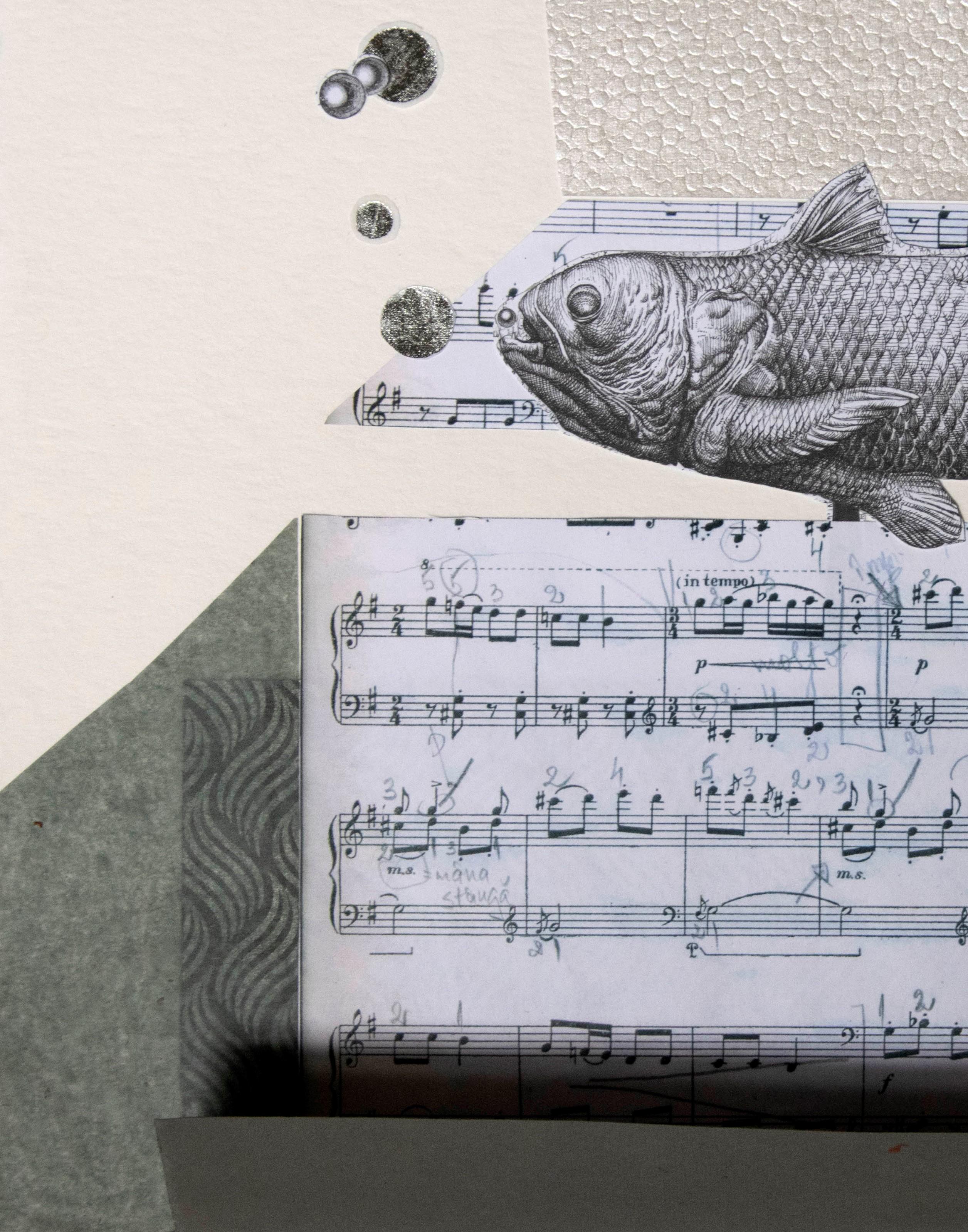 The Music Box - 21. Jahrhundert, Singing Fish, Funny, Zeitgenössische Kunst im Angebot 1