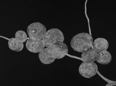 Secret Garden 10 - Flower, Contemporary, Black, White, 21st Century, Nature