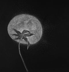 Secret Garden 11 - Flowers, Black, White, Nature, Contemporary Art, Dandelion