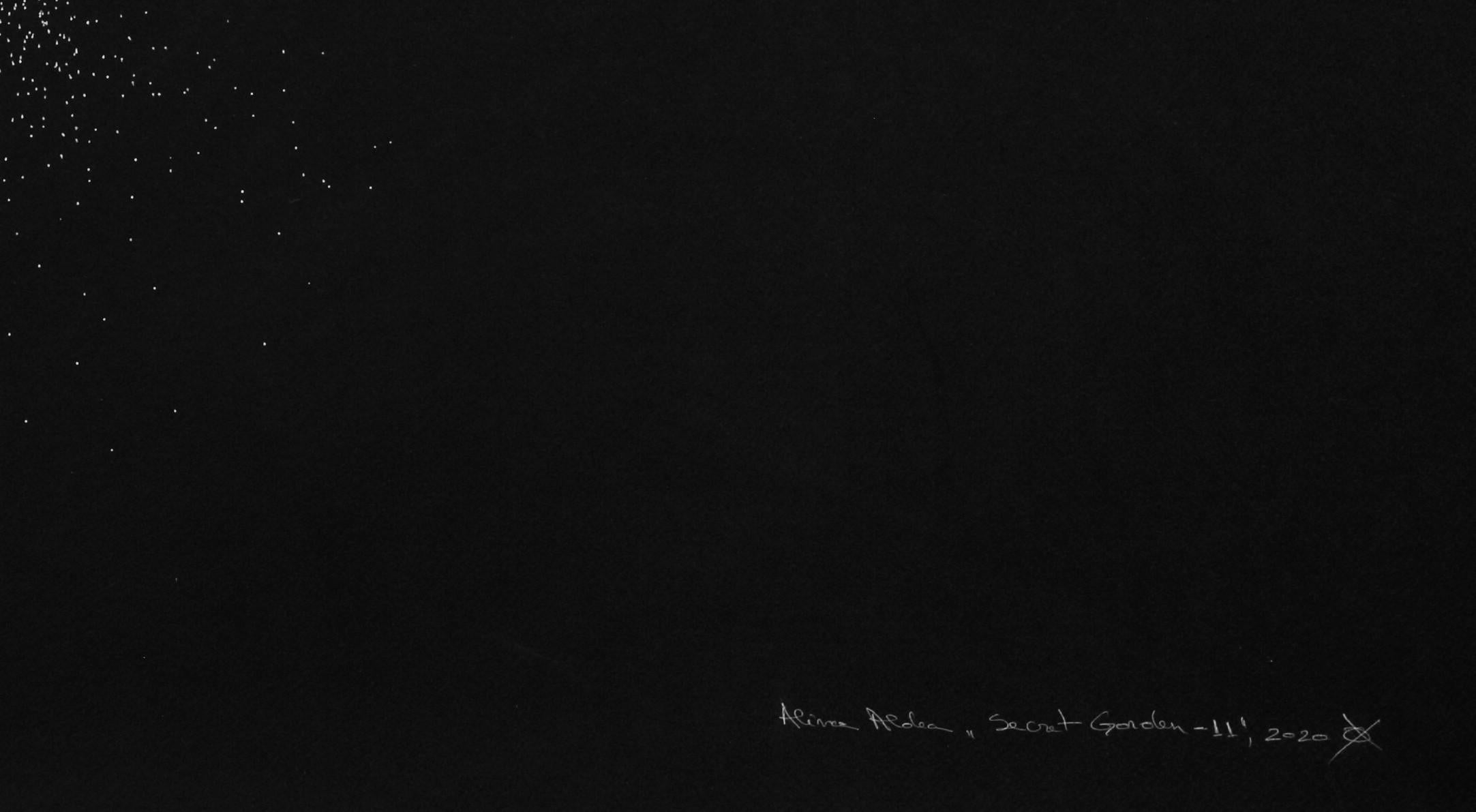 Secret Garden 11, 2020
white ink on black cardboard
27 9/16 H x 39 3/8 W in.
70 H x 100 W cm

The drawings signed by Alina Aldea show the meticulousness and perfection of microscopic observation. Alina Aldea's creation is driven by the idea of