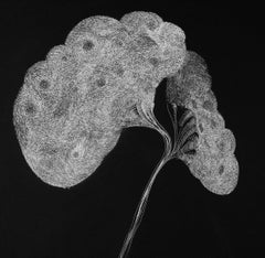 Secret Garden 13 - Contemporary Art, Flower, Black, White, Organic, 21st Century