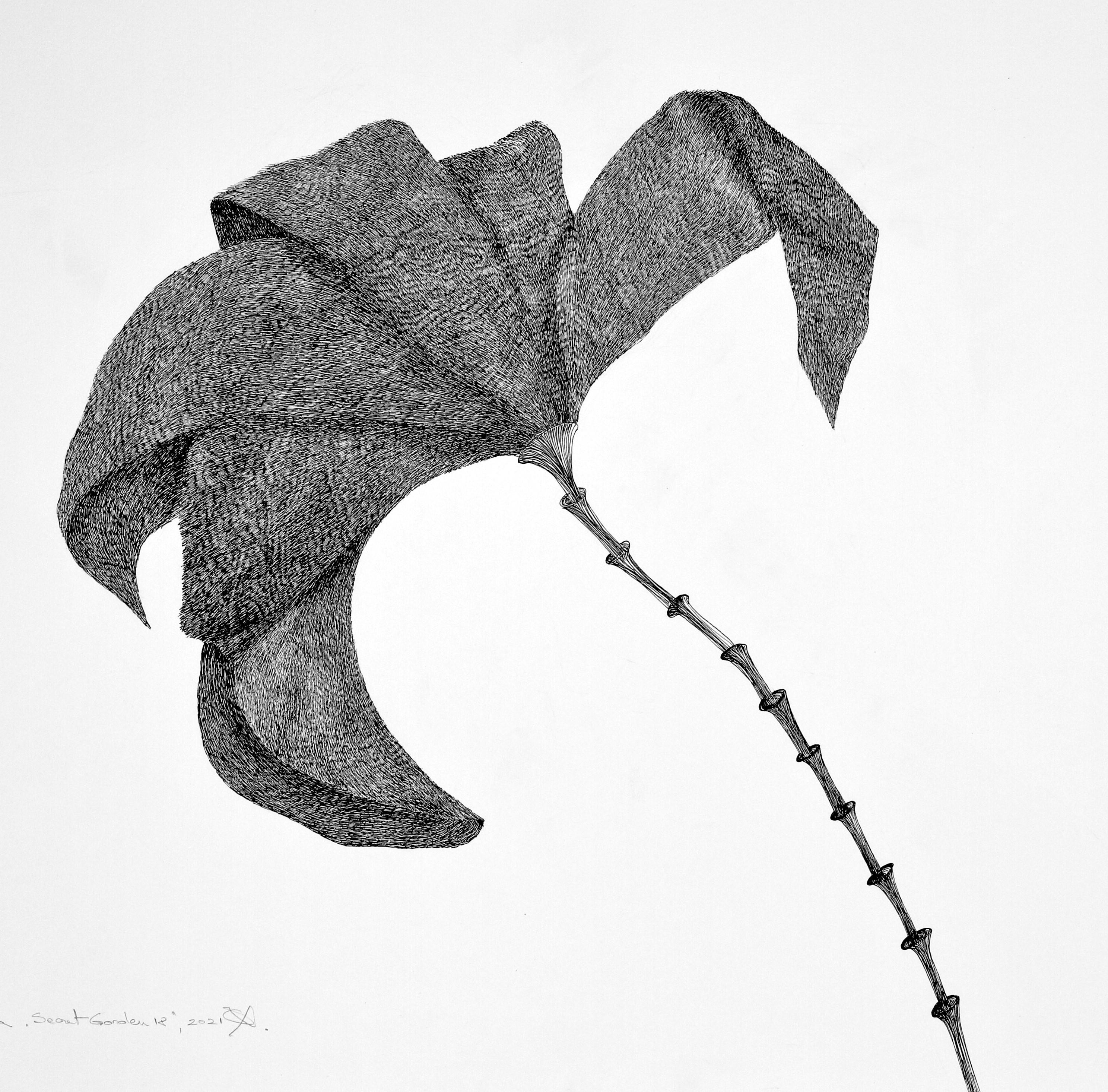 Secret Garden 18 - Contemporary, Drawing, Flower, White, Black, Figurative - Art by Alina Aldea
