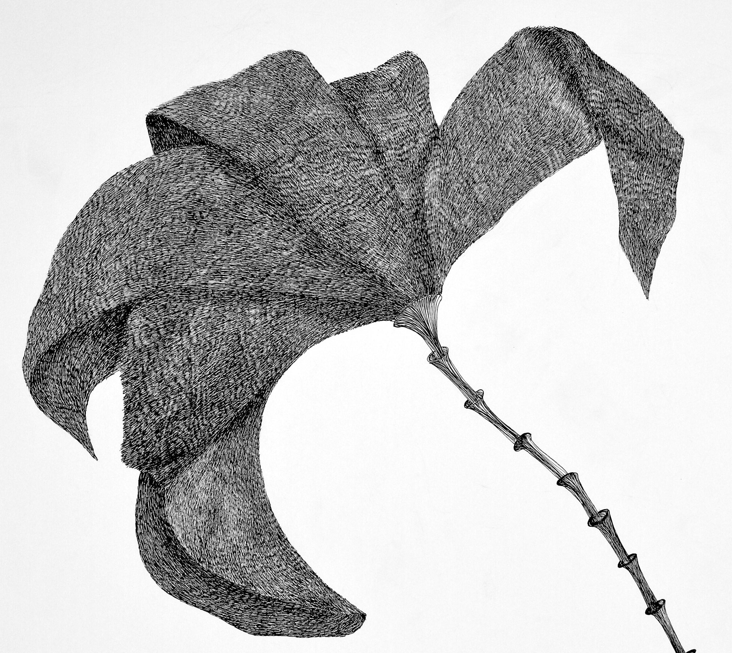 Secret Garden 18 - Contemporary, Zeichnung, Blume, Weiß, Schwarz, Figurativ (Postmoderne), Art, von Alina Aldea
