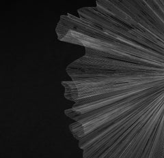 G_41 - 21st Century, Drawing, Contemporary, Black, White, Abstract