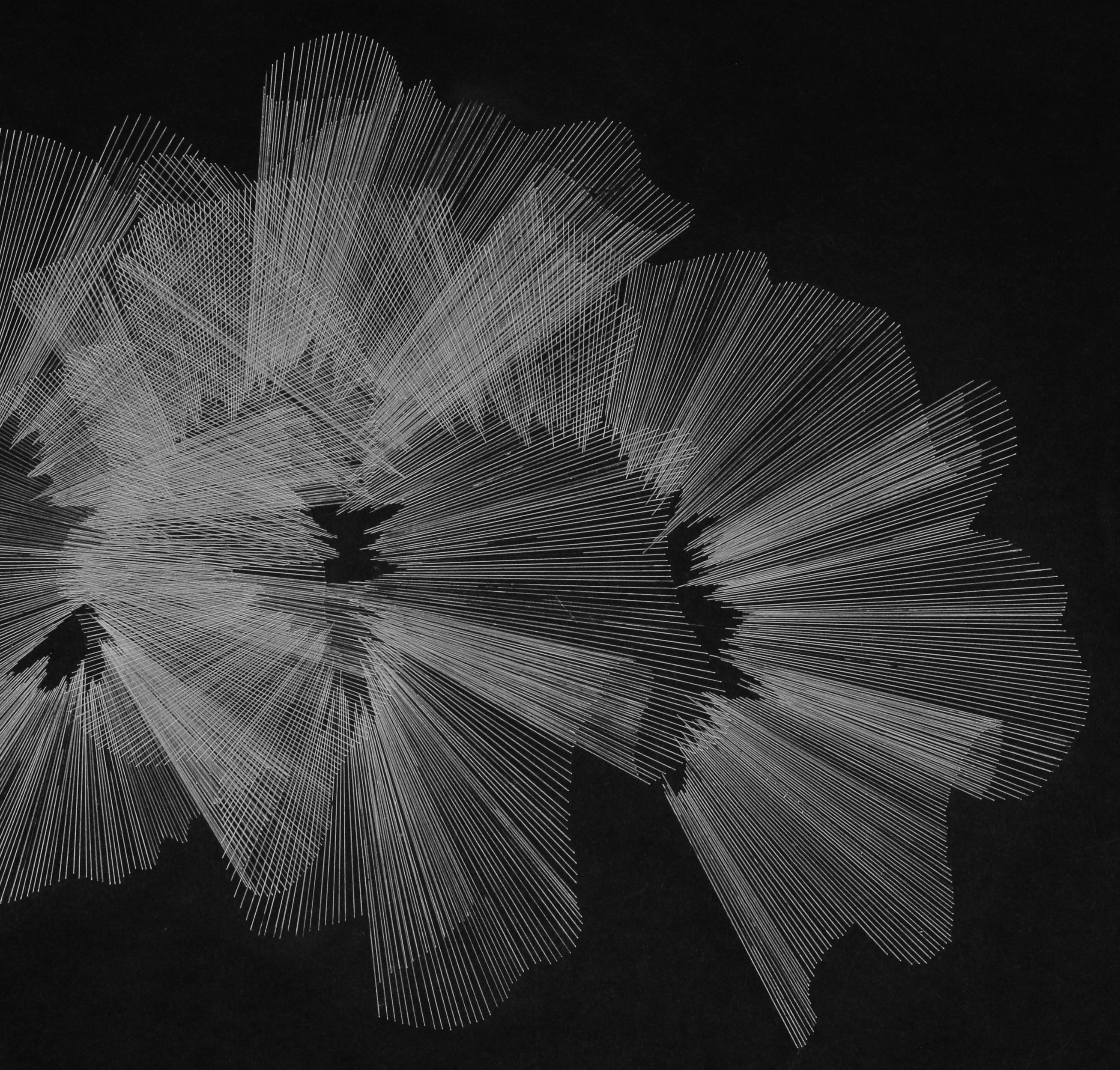 G_43, 2021
white ink on black cardboard
(signed on reverse)
27 9/16 H x 39 3/8 W in.
70 H x 100 W cm

Alina Aldea's drawings project all the possible forms which appear to disappear without a particular reference or consequence rapidly. The artist's