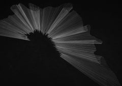 G_44 - Minimalist, Contemporary, Drawing, Black, White