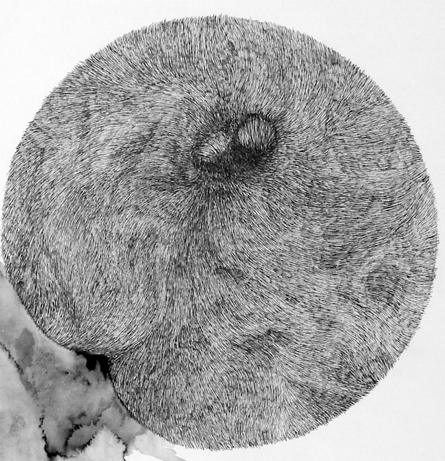 Zelle 04, 2021
schwarze Tinte auf weißem Papier
39 3/8 H x 27 9/16 B cm
100 H x 70 B cm


Die von Alina Aldea signierten Zeichnungen zeigen die Akribie und Perfektion der mikroskopischen Beobachtung. 

Die Serie 