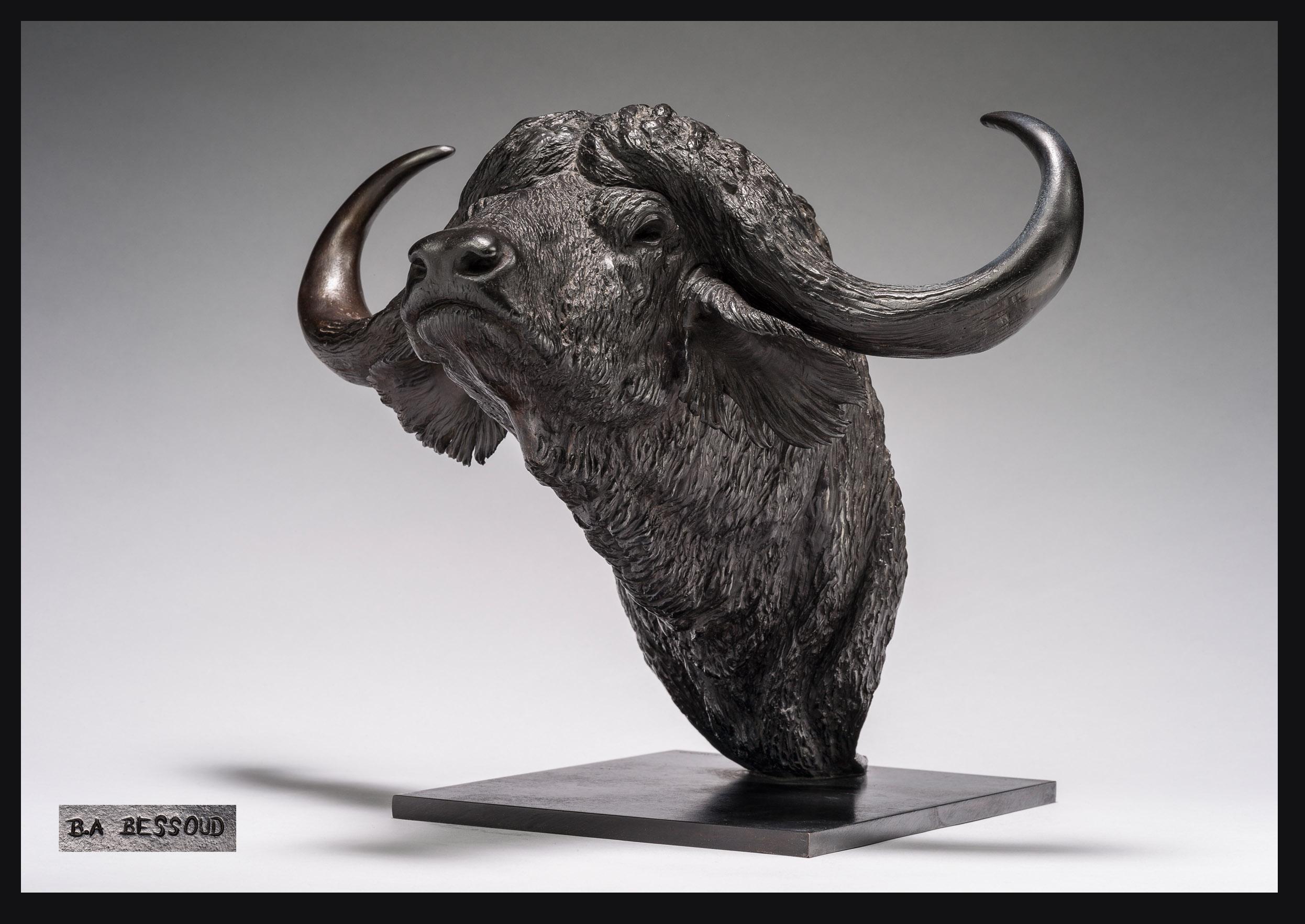 Bernard Bessoud Figurative Sculpture - Caffer Buffalo