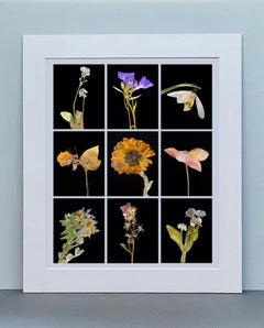 Forget Me Not IX – botanische Farbfotografie Drucke