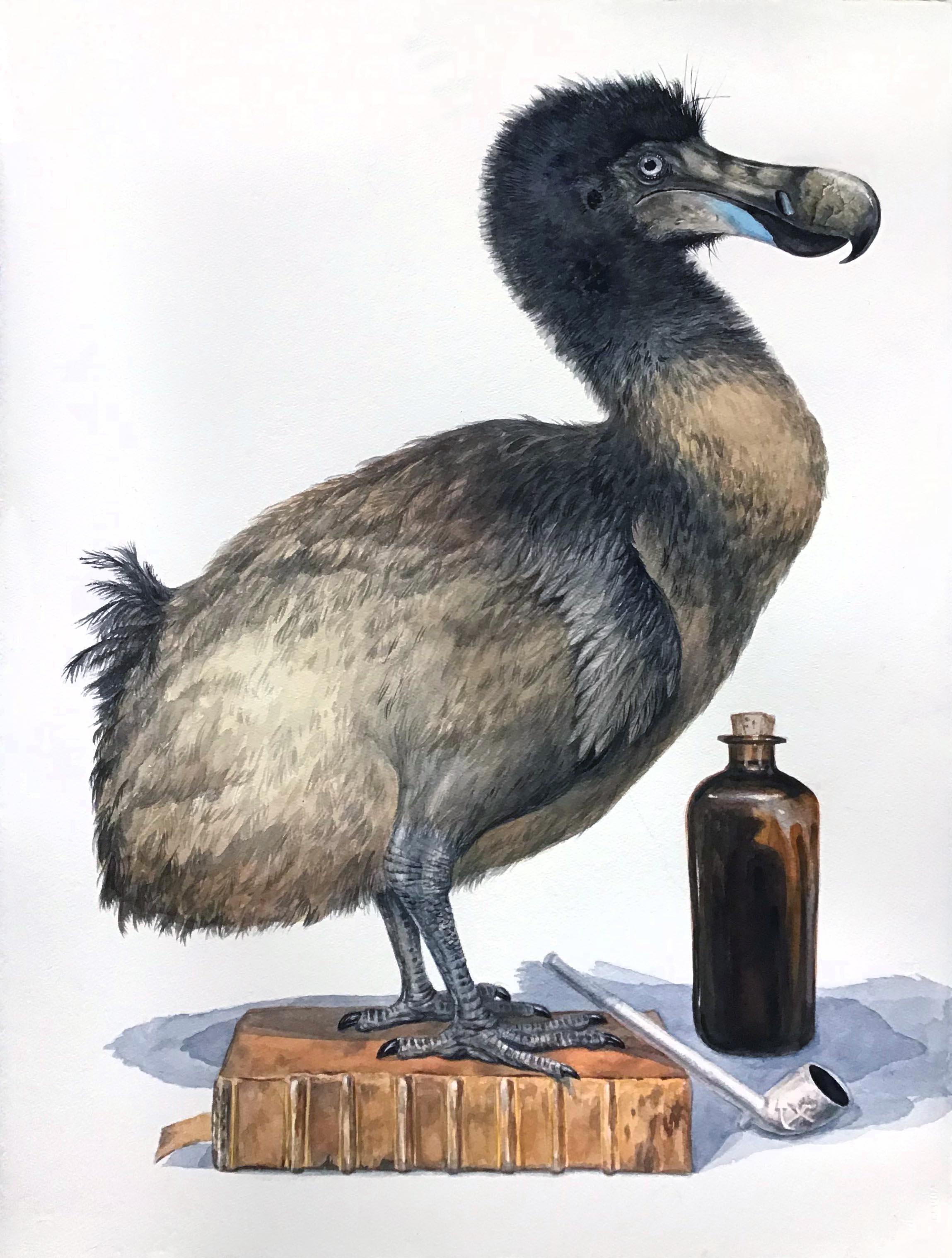 Thomas Broadbent Animal Painting - The Last Dodo