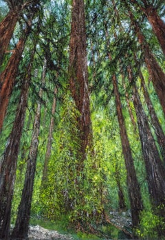 Zeitgenössisches Landschaftsgemälde „Wood Wide Web“ ( Wald)