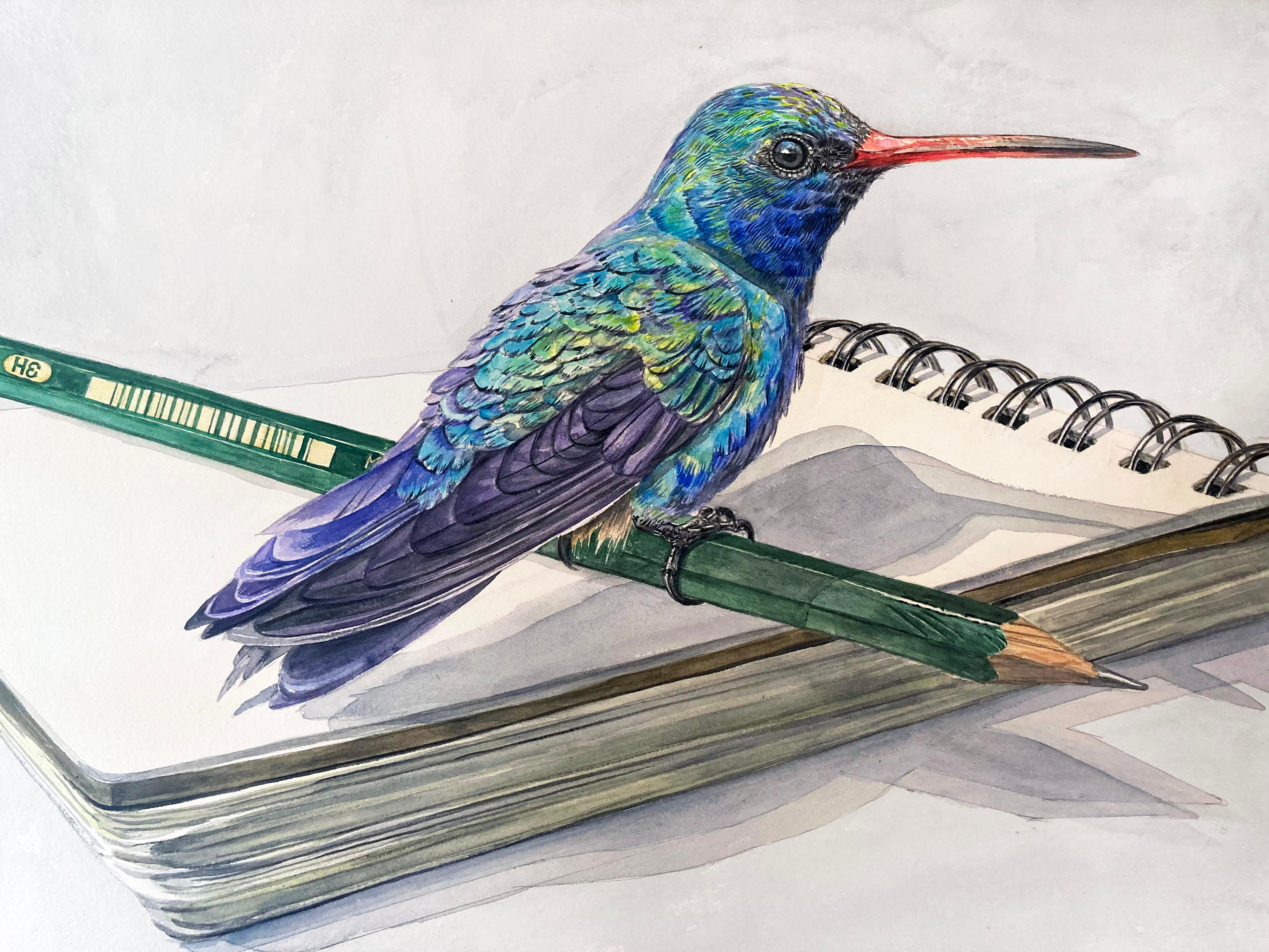 Thomas Broadbent Animal Painting - "Note Taking" Contemporary Surrealist Watercolor, hummingbird, pencil, notebook