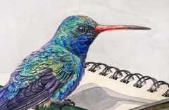 "Prendere appunti" Acquerello surrealista contemporaneo, colibrì, matita, taccuino