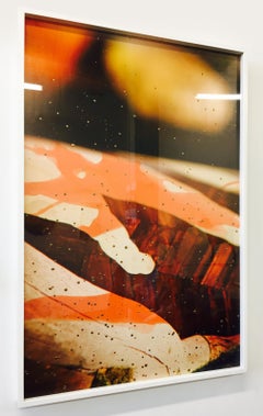 Pagine 39 e 40, Travi e pavimenti in legno