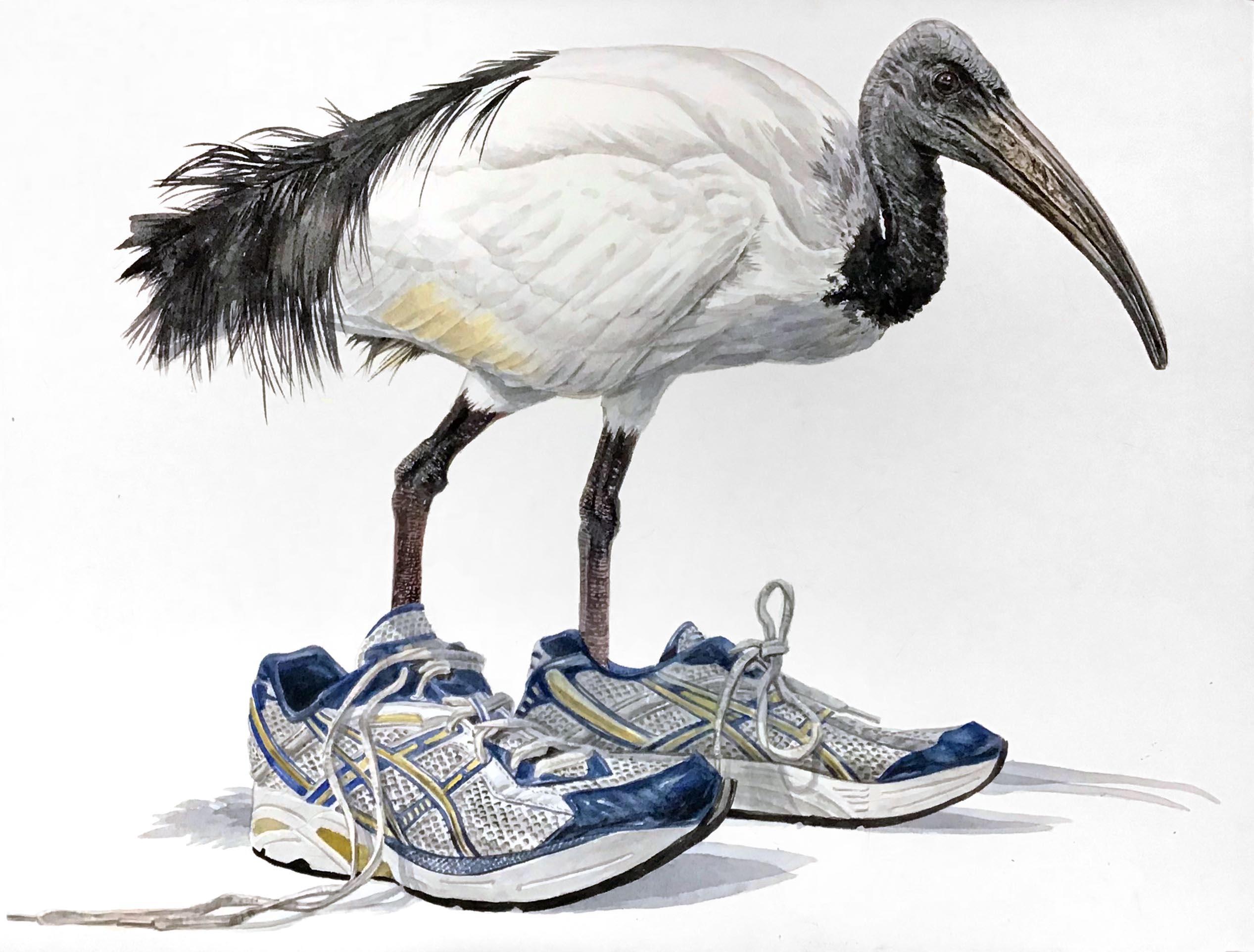 "In My Shoes" Watercolor on Paper (contemporary surrealist painting, ibis bird)